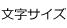 文字サイズ