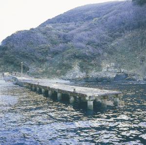 旧正野谷桟橋の画像