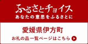 ふるさとチョイス