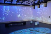 きらら館のバーチャル水族館の写真
