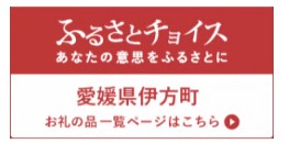 ふるさとチョイス