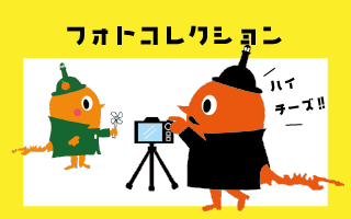 フォトコレクションのバナー画像