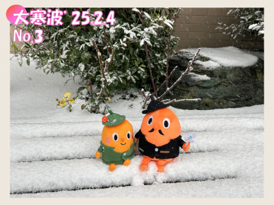 2025年2月4日の大寒波の中のサダンディーとチビダンディー（3）