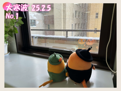 2025年2月5日の大寒波の中のサダンディーとチビダンディー(1)