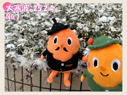 2025年2月4日の大寒波の中のサダンディーとチビダンディー