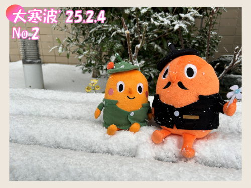2025年2月4日の大寒波の中のサダンディーとチビダンディー（2）