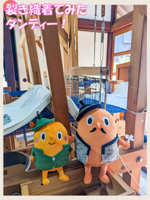 裂き織を着たサダンディー