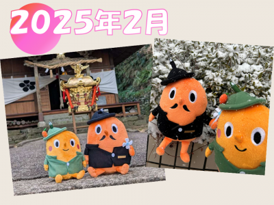 2025年2月