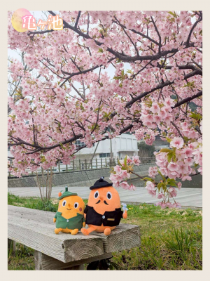 亀ヶ池とサダンディーとチビダンディー