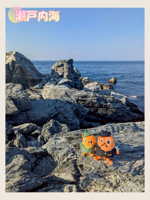 瀬戸内海とサダンディーとチビダンディー