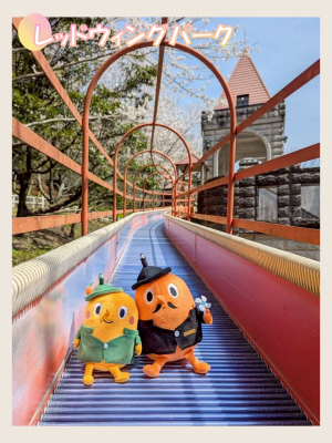 レッドウィングパークとサダンディーとチビダンディー