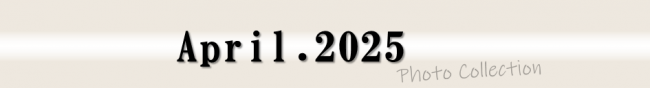 2025年4月