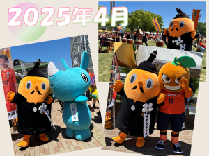 2025年4月　フォトコレクション