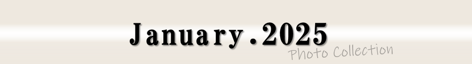 2025年1月写真集