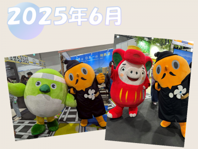 2025年6月写真集