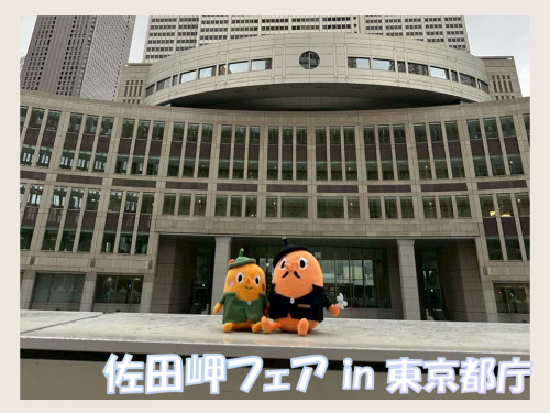 東京都庁とサダンディーとチビダンディー
