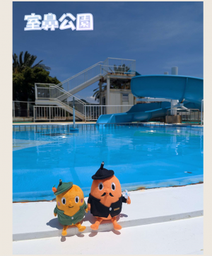 室鼻公園とサダンディーとチビダンディー