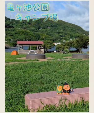 亀ヶ池公園キャンプ場とサダンディーとチビダンディー