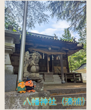 湊浦の八幡神社とサダンディーとチビダンディー