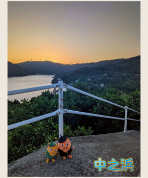 中之浜の夕焼けとサダンディーとチビダンディー