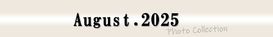2025年8月フォトコレクション
