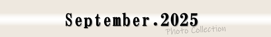 2025年9月フォトコレクション