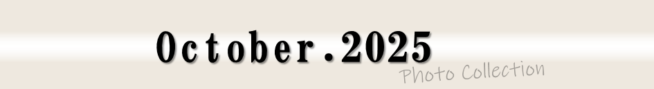 2025年10月
