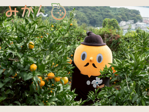 サダンディーとみかん