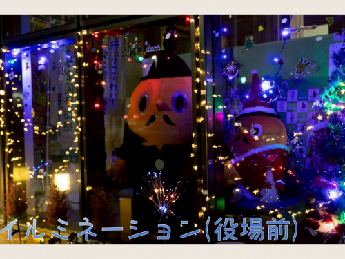 イルミネーションとサダンディー