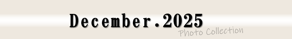 2025年12月