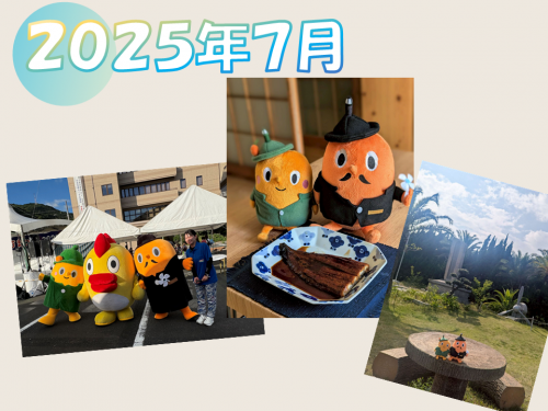 2025年7月写真集