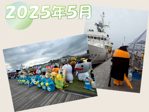 2025年5月写真集