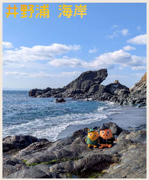 井野浦の海岸とサダンディーとチビダンディー