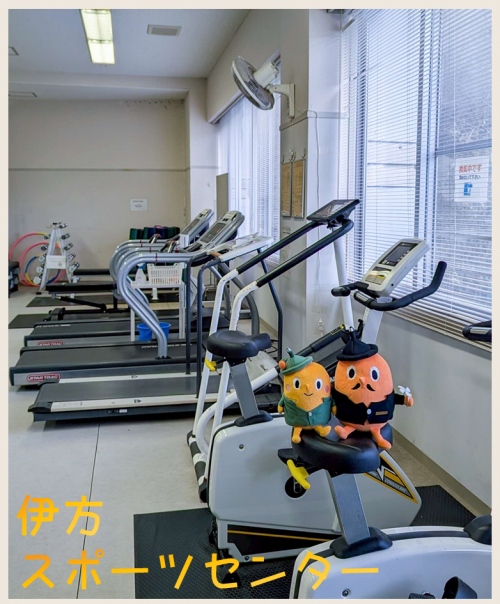 伊方スポーツセンターとサダンディーとチビダンディー