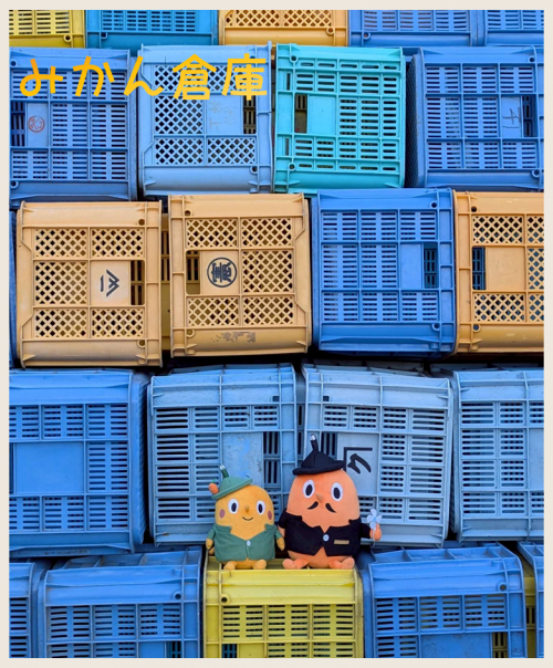 みかん倉庫とサダンディーとチビダンディー