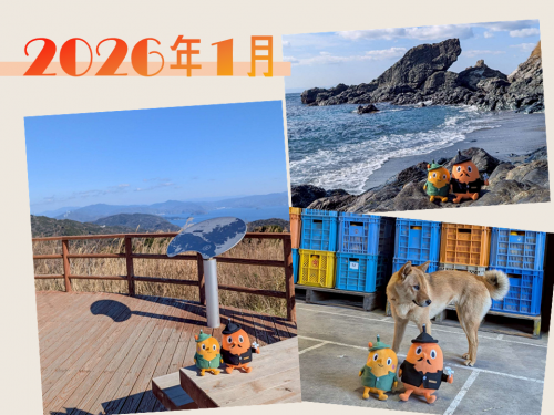 2026年1月写真集