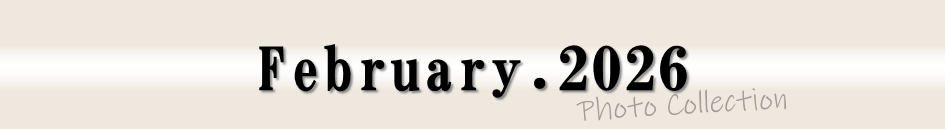 2026年2月フォトコレクション