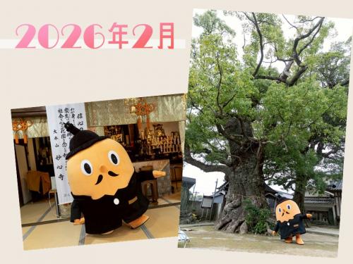 2026年2月写真集