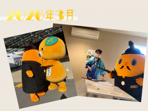 2026年3月写真集