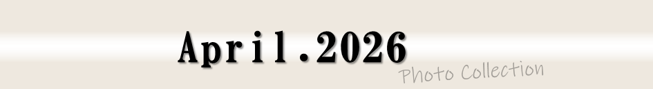 2026年4月フォトコレクション