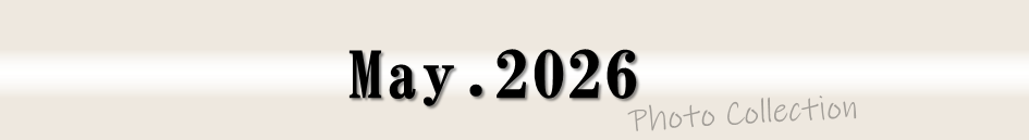 May.2026 Photo Collection (フォトコレクション2026年5月)