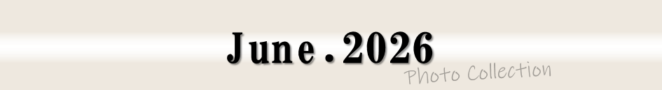 June.2026 Photo Collection (フォトコレクション2026年6月)