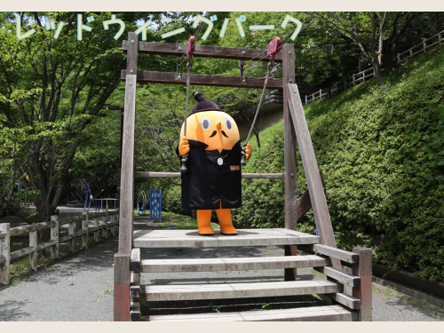レッドウィングパークで遊ぶサダンディー