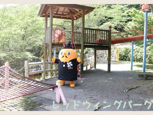 レッドウィングパークの滑り台とサダンディー