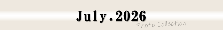 July.2026 Photo Collection (フォトコレクション2026年7月)
