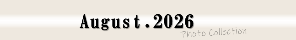 August.2026 Photo Collection (フォトコレクション2026年8月)