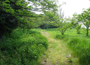 松小学校跡地2