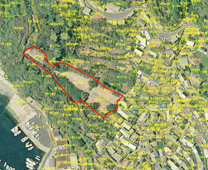 小島小学校跡地位置図