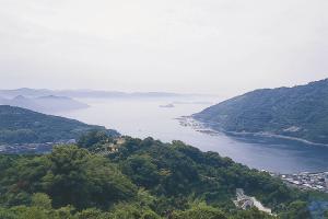 丸岡城「城の台」の画像