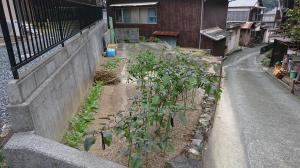  伊方町湊浦1171番地、1199番地3